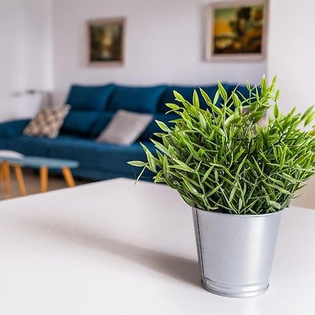 Amplio Apartamento Citycenter 科爾多瓦 外观 照片